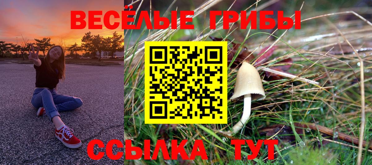 Галлюциногенные грибы Cubensis Малоярославец