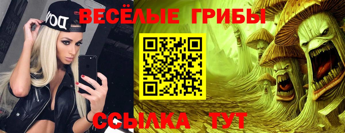 Малоярославец  Галлюциногенные грибы Psilocybe  Вход с VPN 